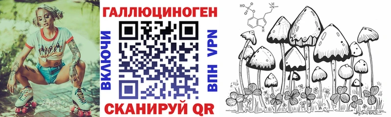 Псилоцибиновые грибы Psilocybine cubensis  Райчихинск 